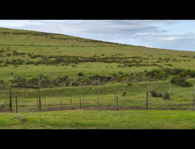 LAND FOR SALE IN MONTE CHRISTO
